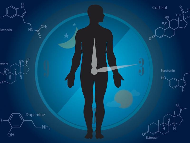 Βιολογικό ρολόι