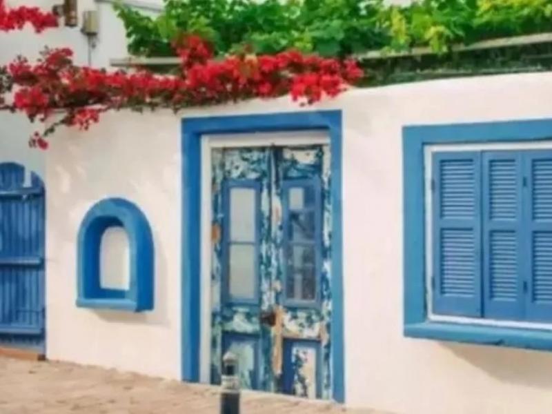 Οφθαλμαπάτη με γάτα σε νησί