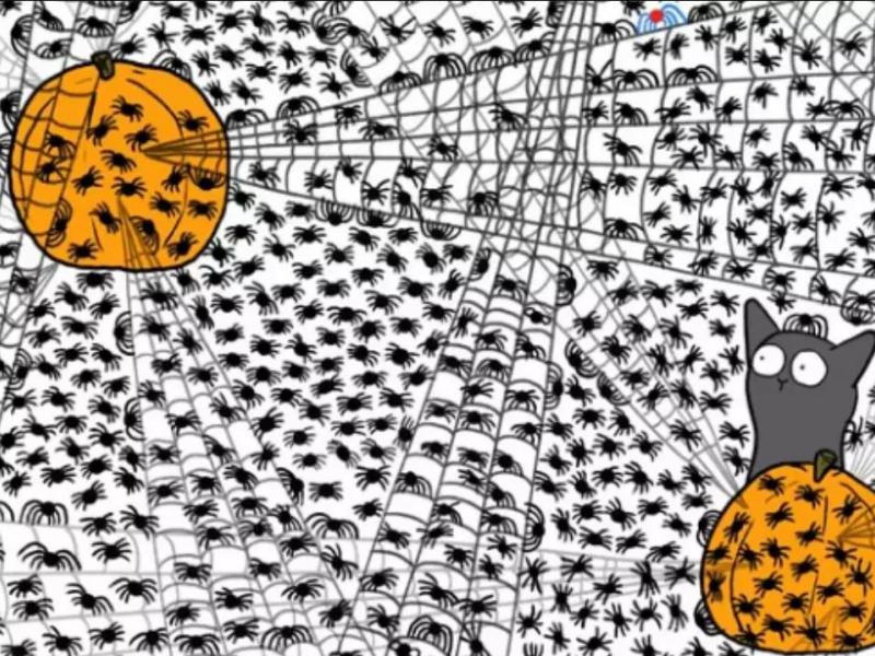 Οφθαλμαπάτη με αράχνες