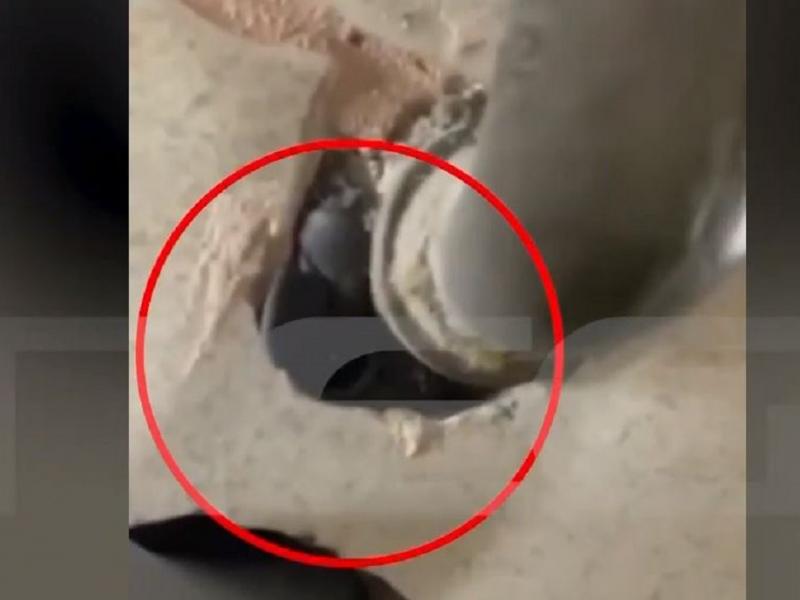 Κομμωτής έβλεπε γυμνές πελάτισσες με κρυφές κάμερες στις τουαλέτες