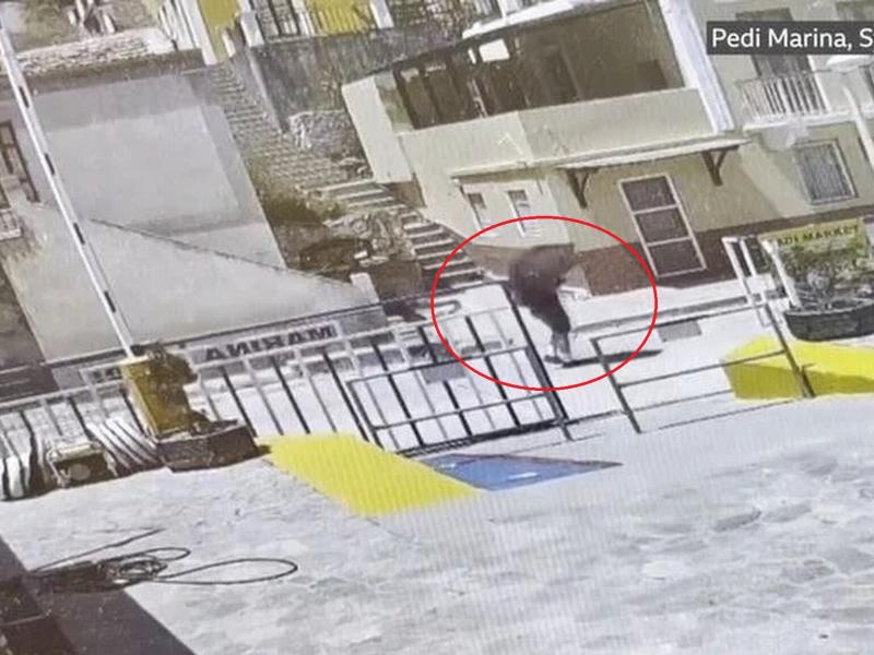 Μάικλ Μόσλεϊ