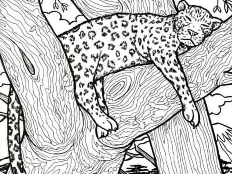 οφθαλμαπατη