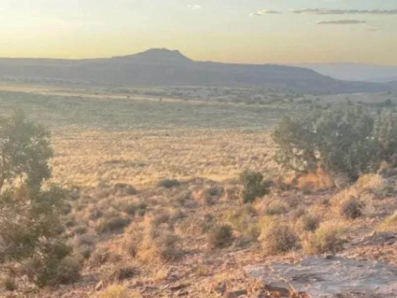 Σπαζοκεφαλιά με αλεπού