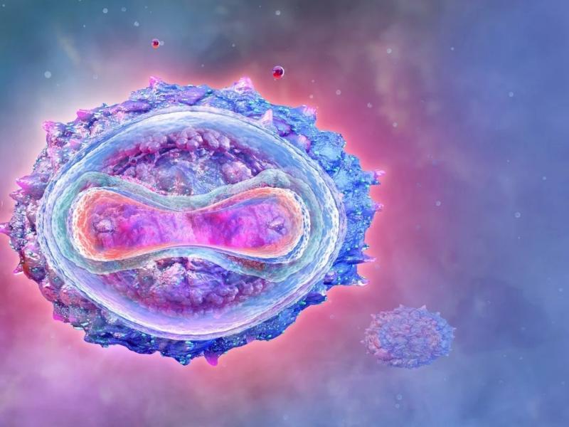 Ευλογιά των πιθήκων