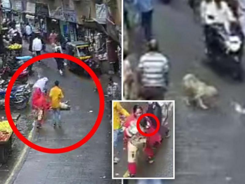 Σκύλος έπεσε πάνω σε παιδί από τον πέμπτο όροφο