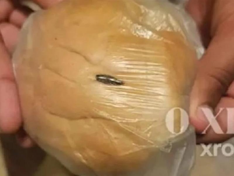 σχολικο γευμα