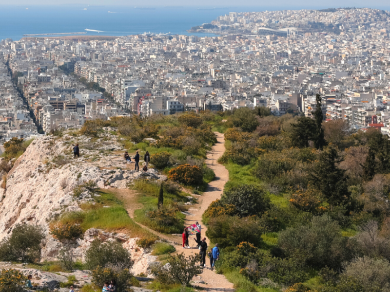 φιλοπαππου