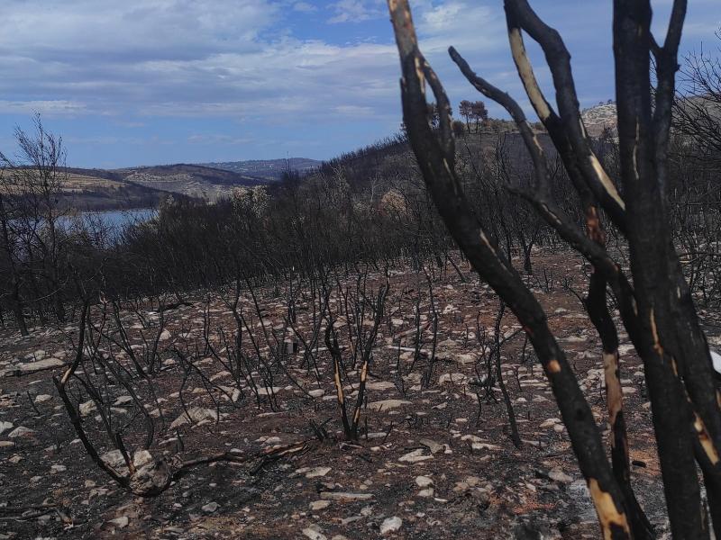 Τα καμένα στη Λίμνη Μαραθώνα