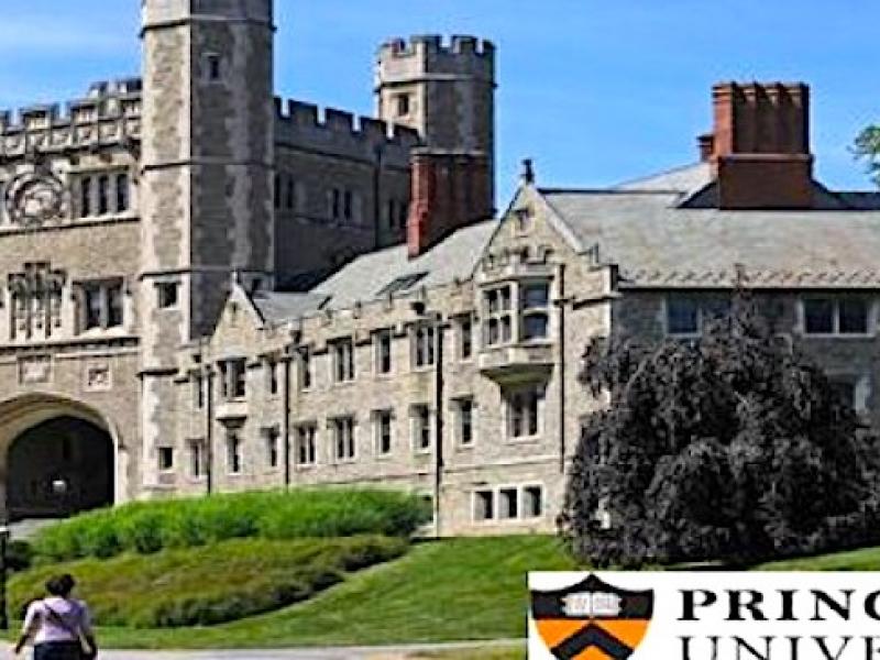 princeton