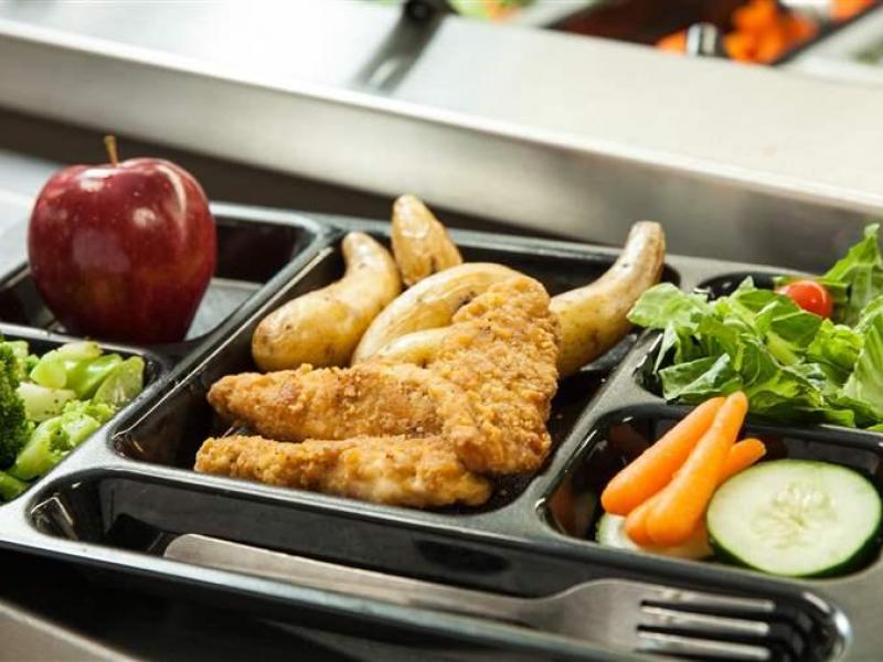 σχολικα γευματα