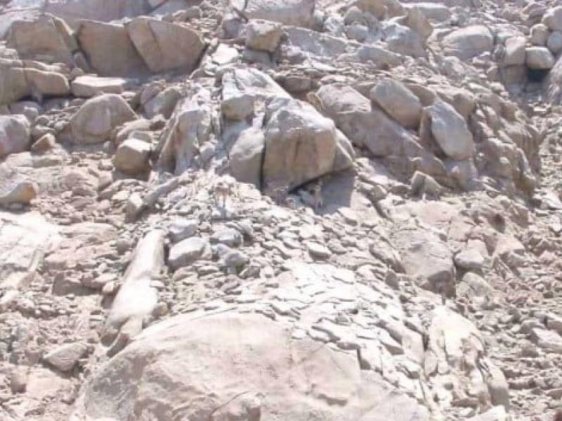 οπτική ψευδαίσθηση