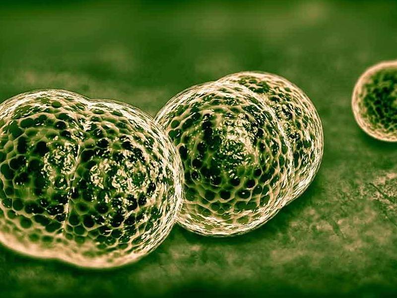 μηνιγγιτιδα