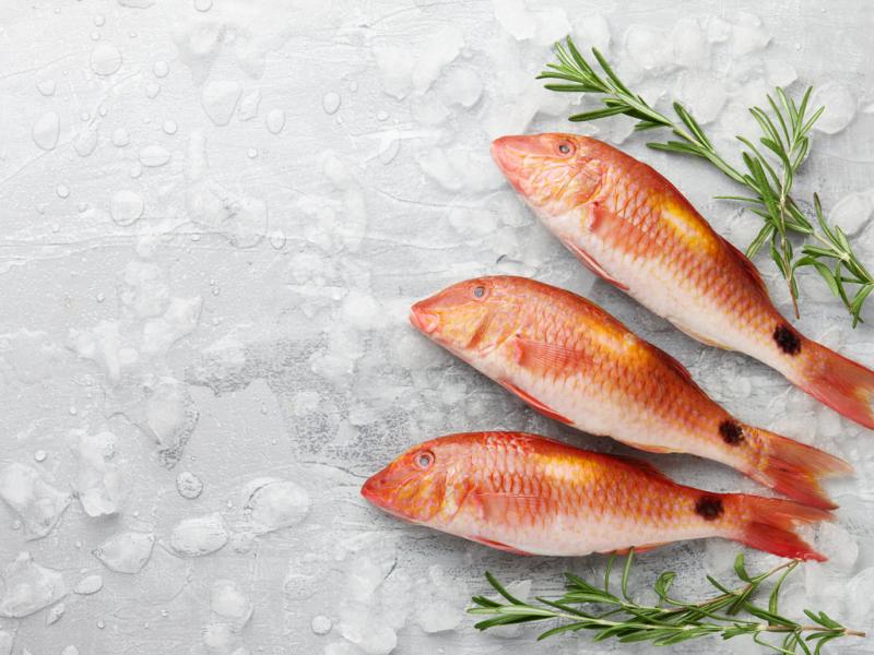 Μπαρμπούνι