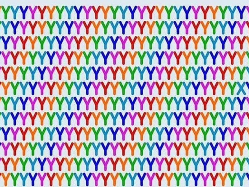 Γρίφος χ και ψ