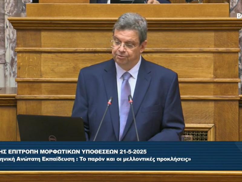 Πρόεδρος ΕΘΑΕ, Περικλής Μήτκας