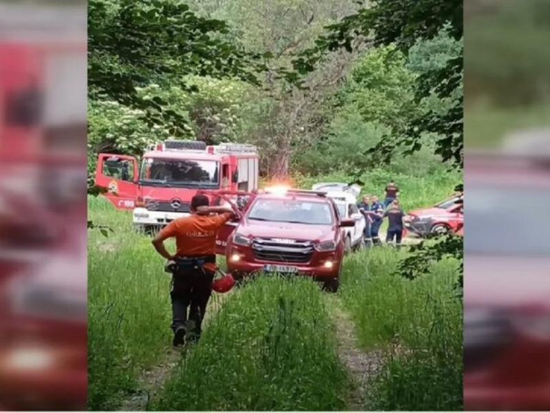 Δράμα: Νεκροί ορειβάτες από επίθεση αρκούδας