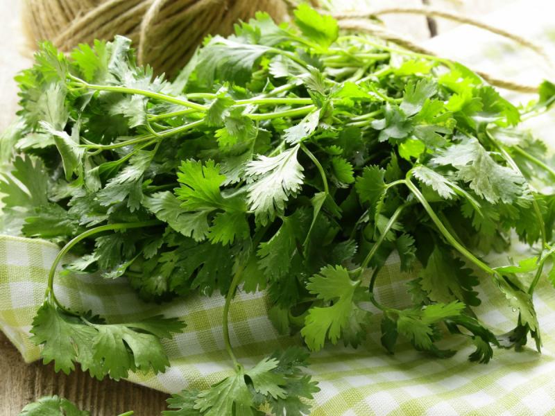 Κόλλιανδρος