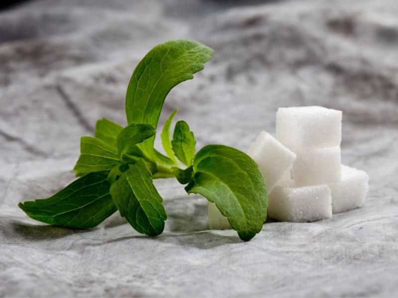 stevia