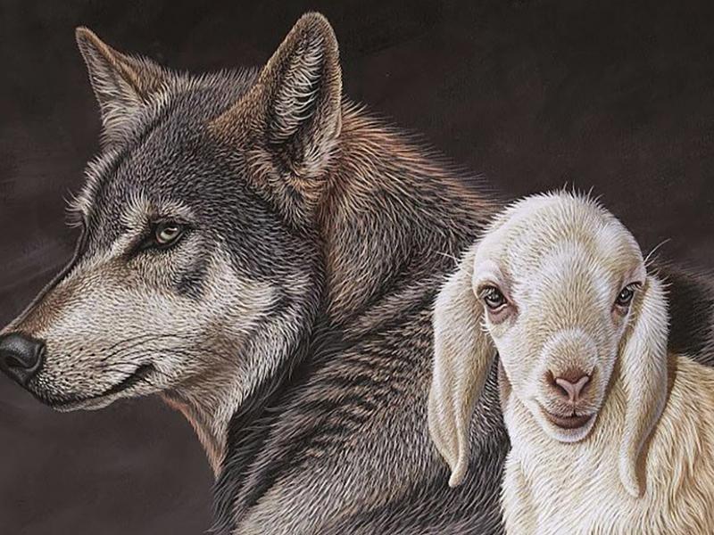 Ο λύκος και το αρνάκι