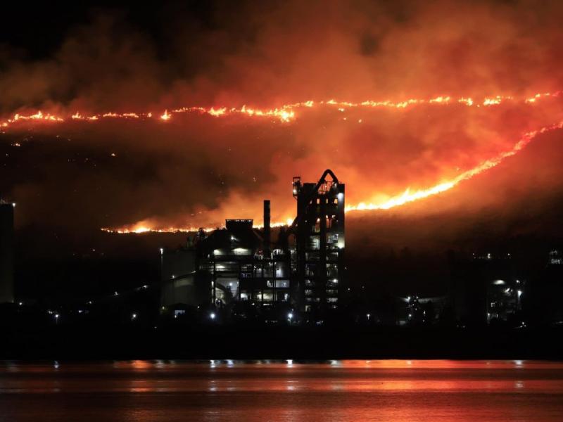 ευβοια φωτιά