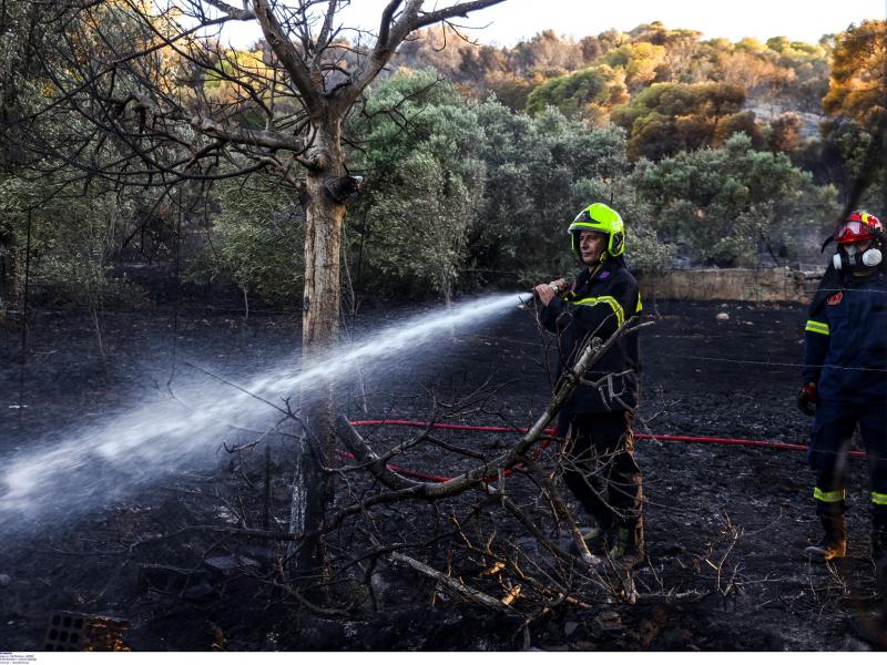 Φωτιά στη Ραφήνα