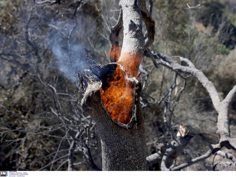 Φωτιά - Πυρκαγιά