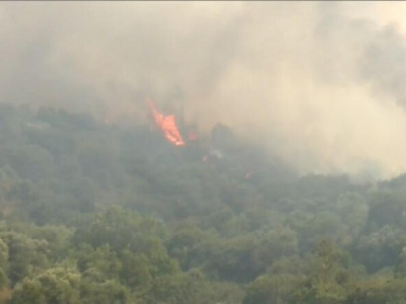 Φωτιά στα Κύθηρα