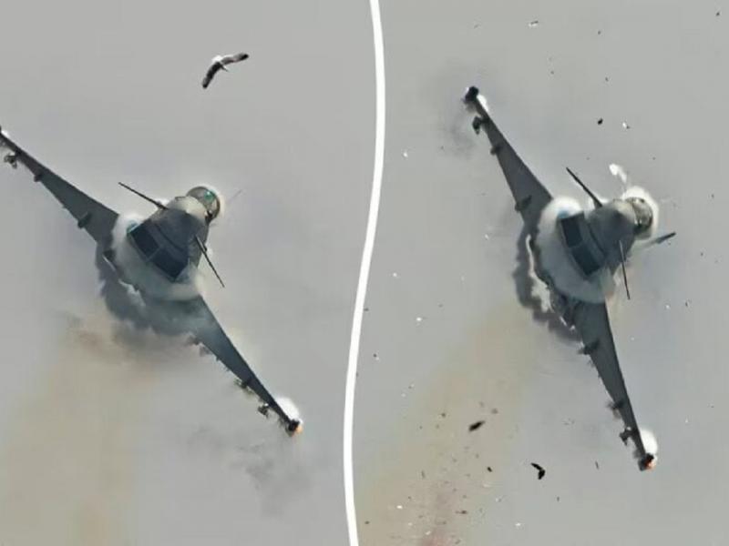 Σύγκρουση αεροσκάφους με γλάρο