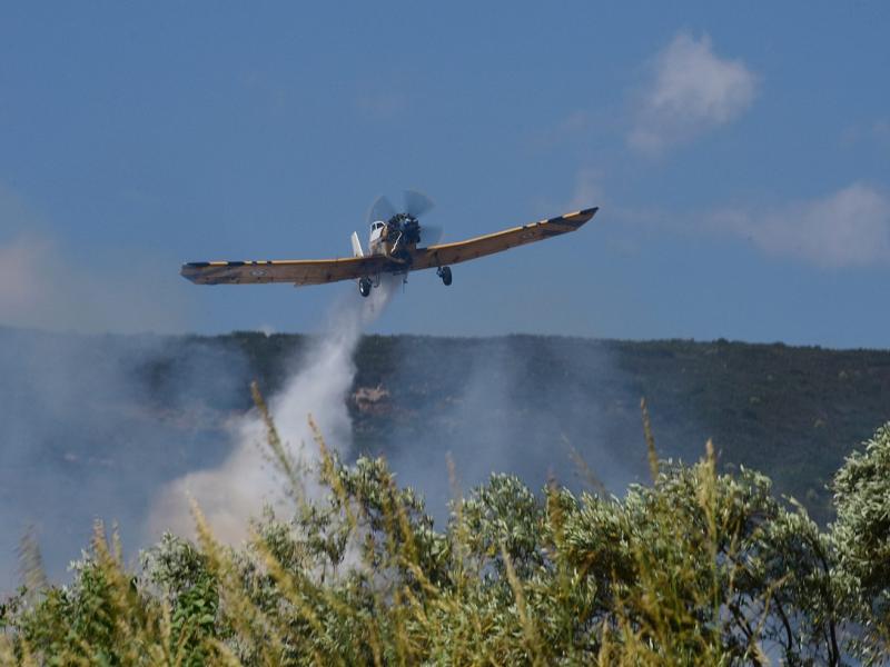 φωτιά στην Αρχαία Ολυμπία