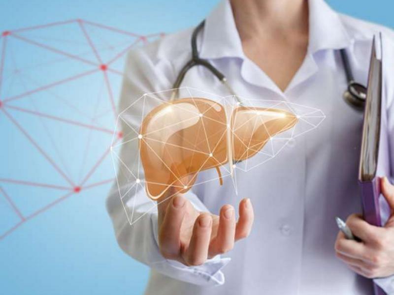 Ήπαρ - Συκώτι