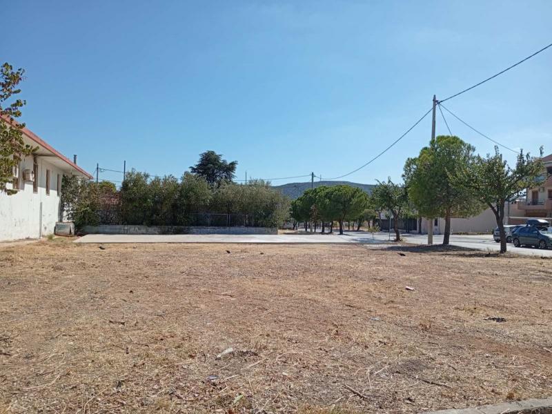 έχει απλώς μια τσιμεντένια πλάκα