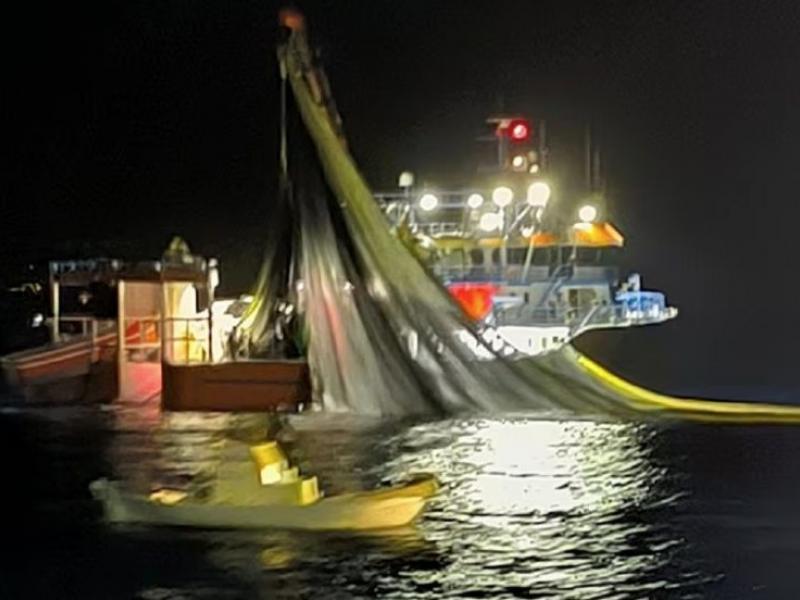 ψαραδες θρακικο πέλαγος