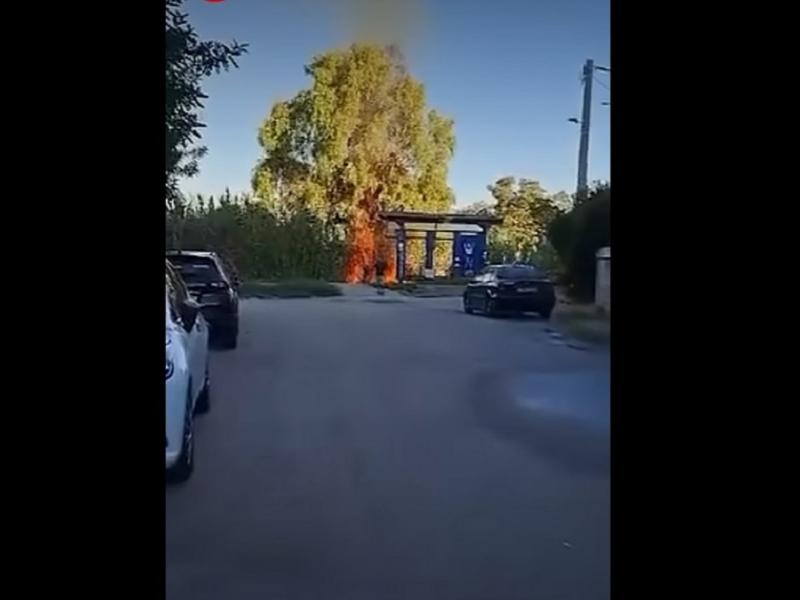 Φωτιά στον προαστιακό στην Πάτρα