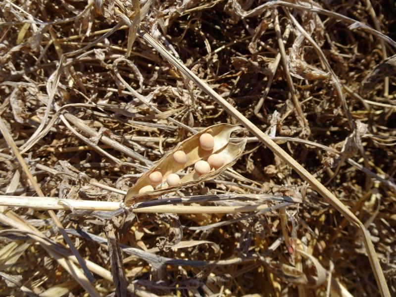 slider_Fava Cycle in the Greek Islands.JPG