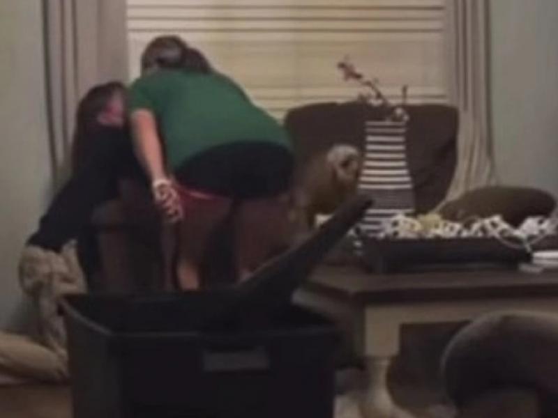 κακοποιηση