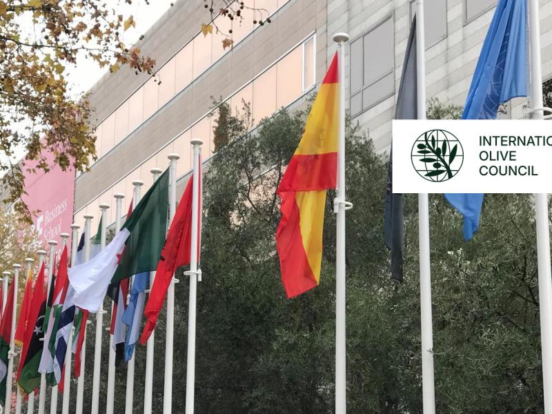 MoU International Olive Council-slider