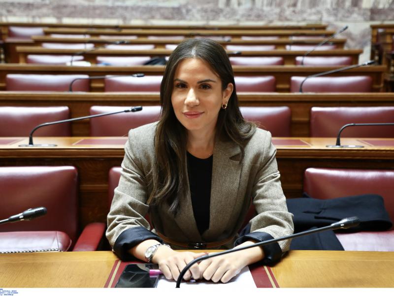 Ελένη Ν. Βατσίνα