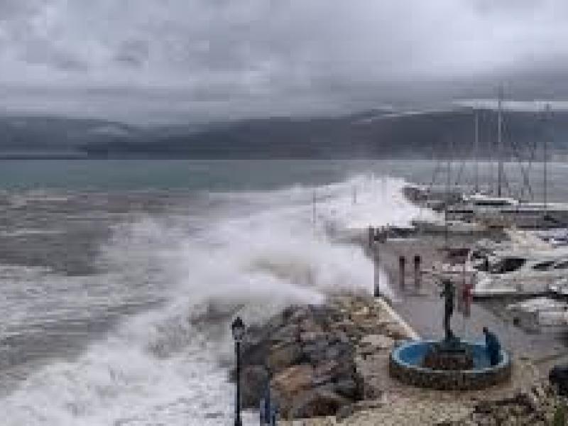 αστρος κυνουρίας