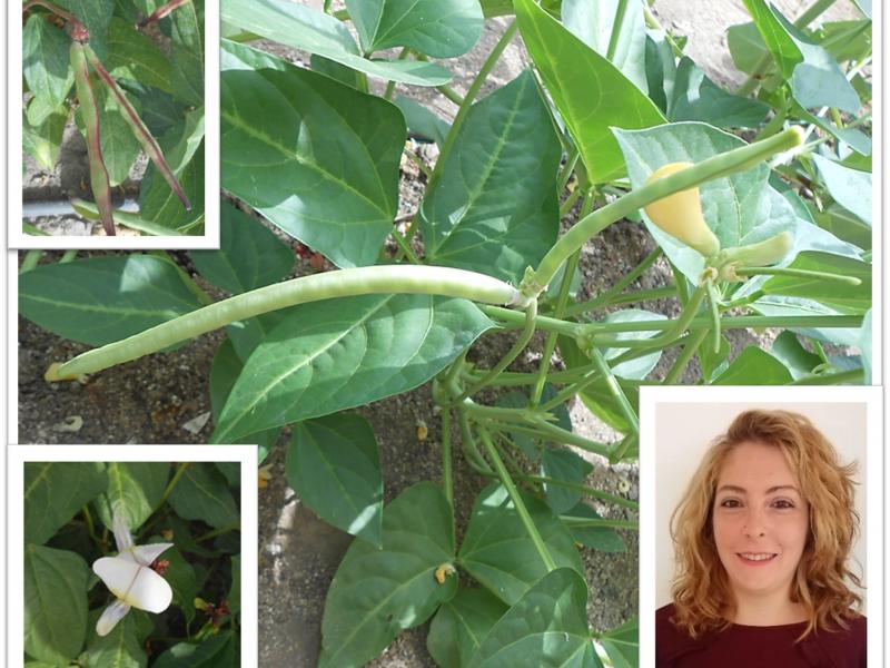 Efstathia Lazaridi_slider.jpg