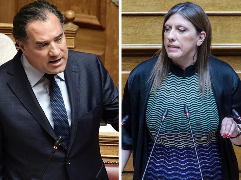 Ζωή Κωνσταντοπούλου, Άδωνις Γεωργιάδης