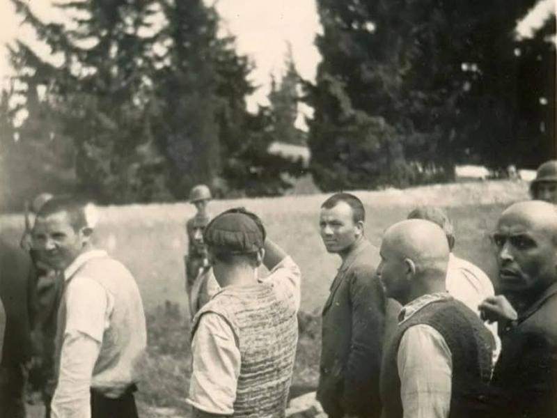 καισαριανή