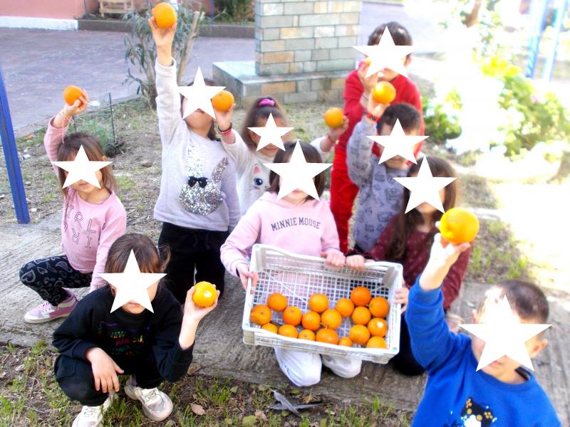 ΔΗΜΟΤΙΚΟ ΣΧΟΛΕΙΟ ΛΟΥΤΡΟΠΟΛΗΣ ΘΕΡΜΗΣ