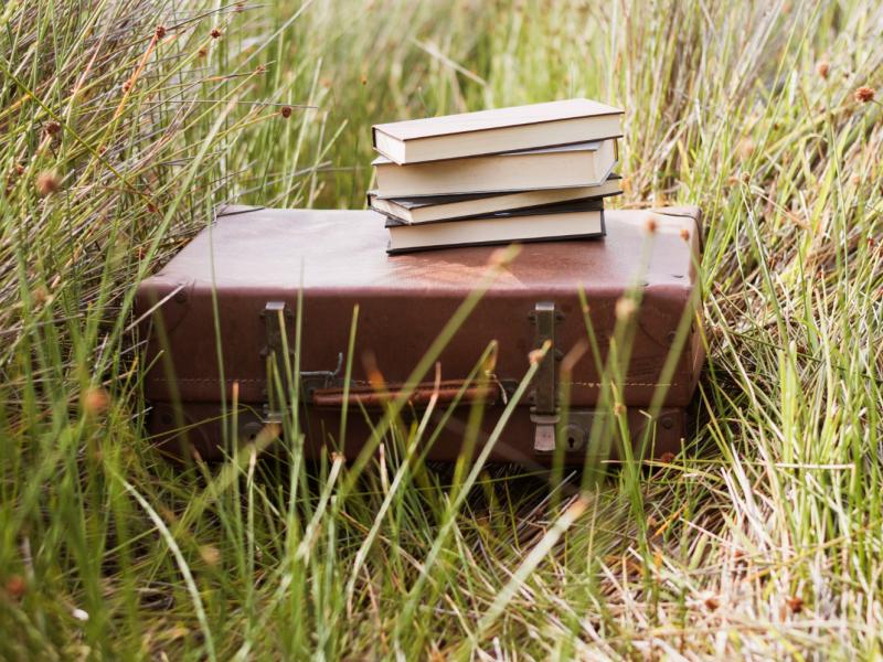 αναπληρωτες