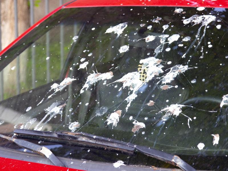 αυτοκινιτο