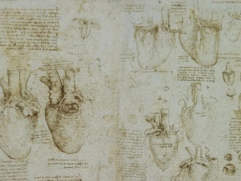 Λεονάρντο Ντα Βίντσι