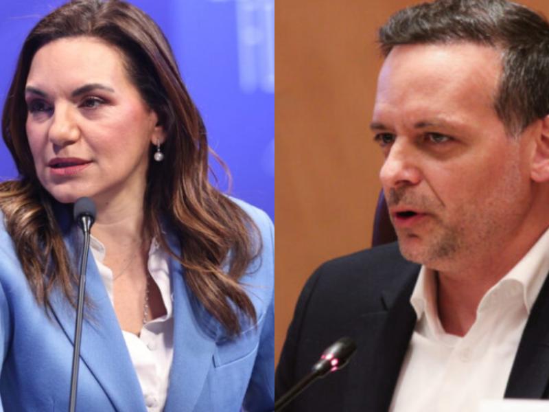 Όλγα Κεφαλογιάννη, Χάρης Δούκας