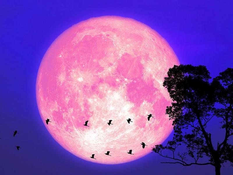 Ροζ πανσέληνος, φεγγάρι