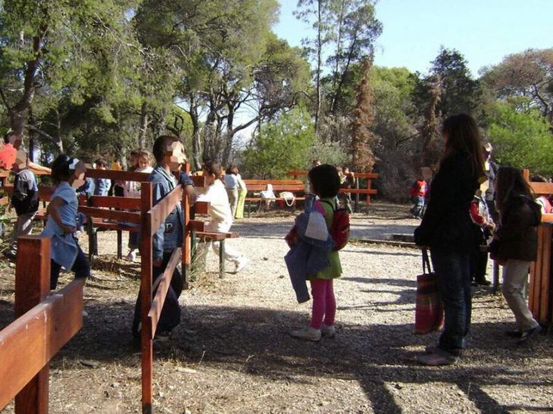 Παιδικές κατασκηνώσεις ΕΦΚΑ