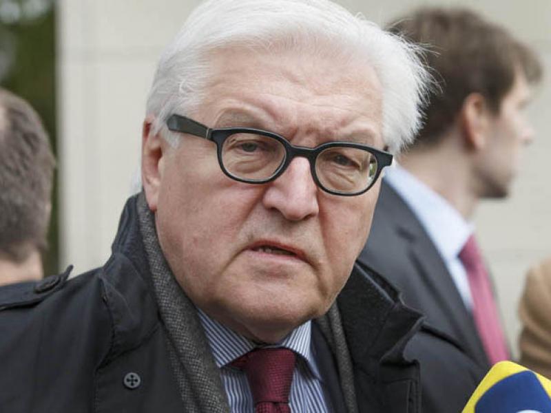 22-81550steinmeier03-800-454.jpg