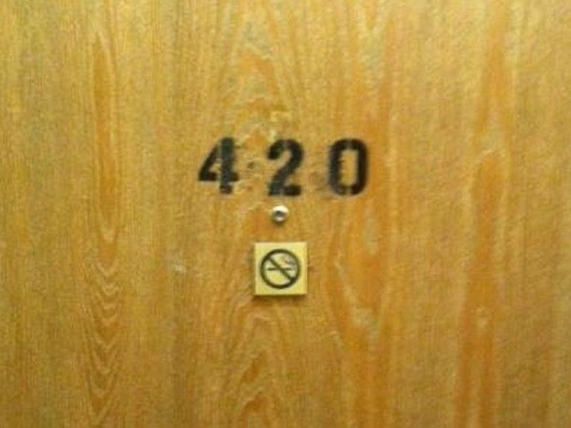 4202.jpg